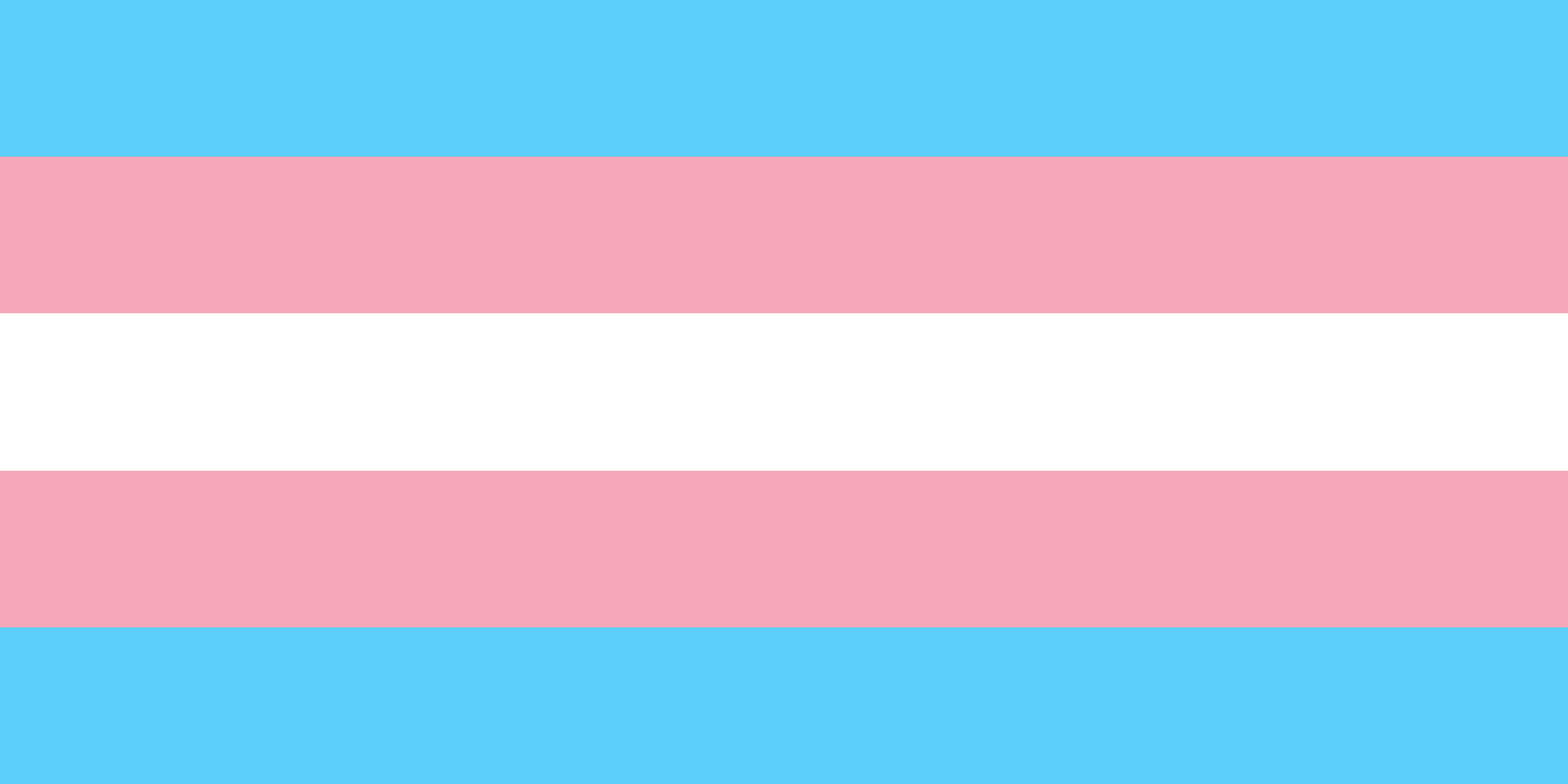 bandiere LGBTQIA+ significato guida, bandiere LGBTQIA+ significato, LGBTQIA+ guida